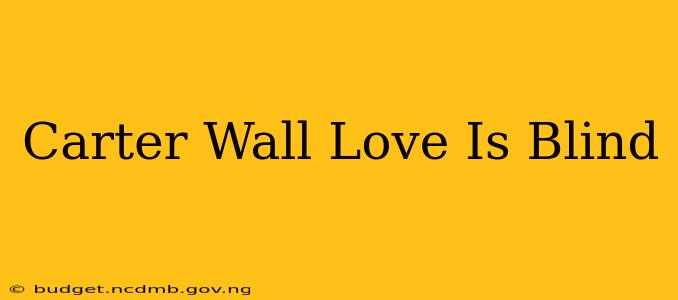 Carter Wall Love Is Blind