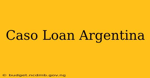 Caso Loan Argentina