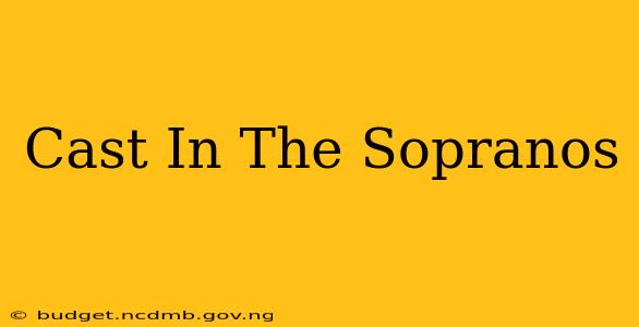 Cast In The Sopranos