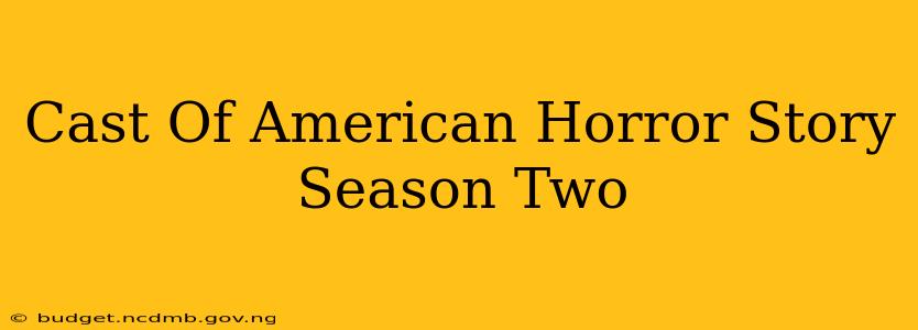 Cast Of American Horror Story Season Two