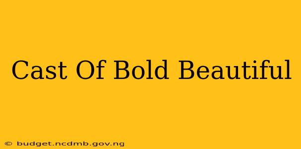 Cast Of Bold Beautiful