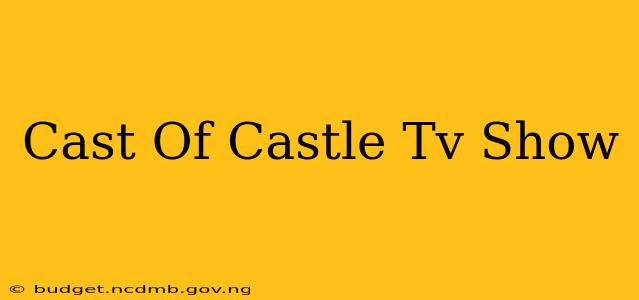 Cast Of Castle Tv Show