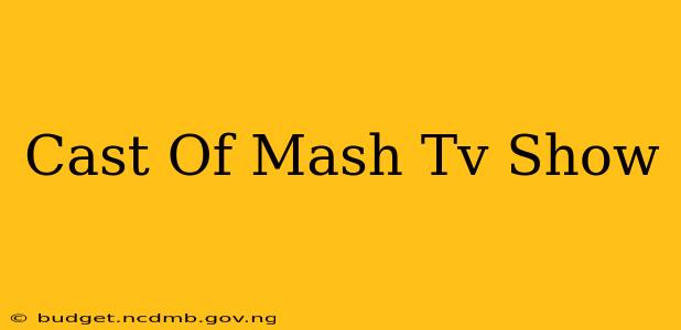 Cast Of Mash Tv Show