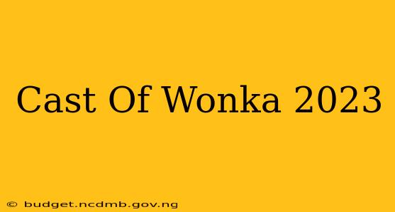 Cast Of Wonka 2023