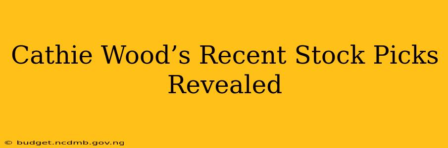 Cathie Wood’s Recent Stock Picks Revealed