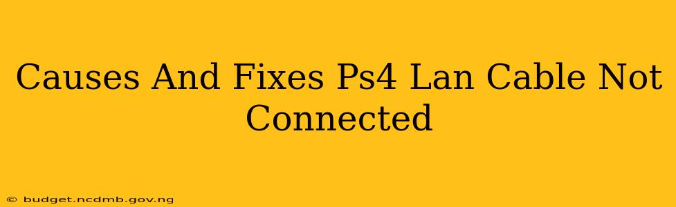 Causes And Fixes Ps4 Lan Cable Not Connected