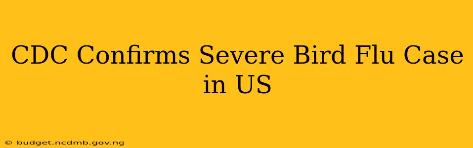 CDC Confirms Severe Bird Flu Case in US