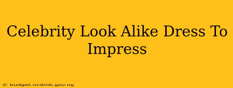 Celebrity Look Alike Dress To Impress