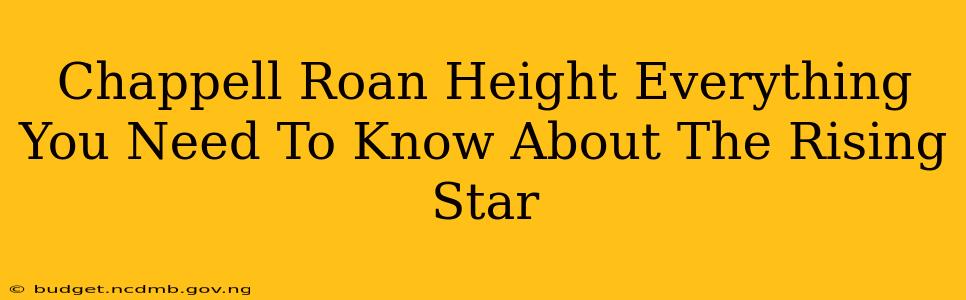 Chappell Roan Height Everything You Need To Know About The Rising Star