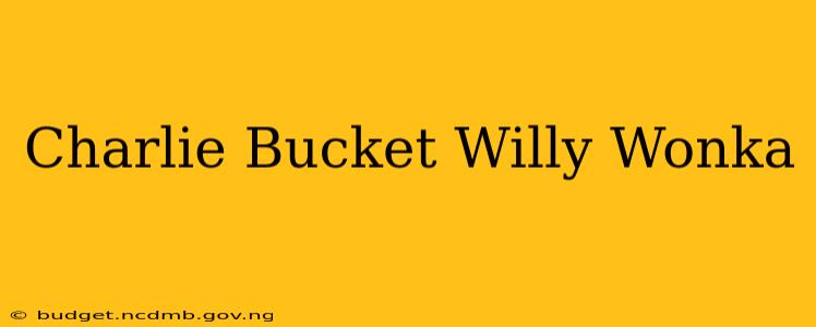 Charlie Bucket Willy Wonka