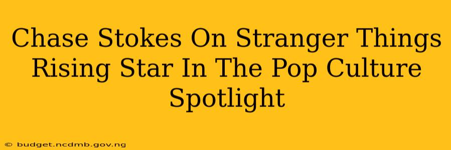 Chase Stokes On Stranger Things Rising Star In The Pop Culture Spotlight