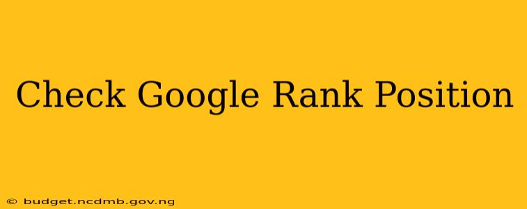 Check Google Rank Position