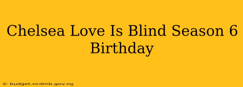 Chelsea Love Is Blind Season 6 Birthday
