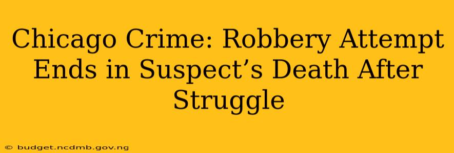 Chicago Crime: Robbery Attempt Ends in Suspect’s Death After Struggle