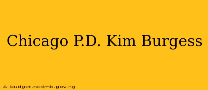 Chicago P.D. Kim Burgess