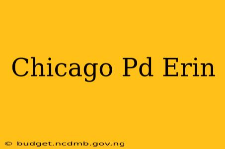 Chicago Pd Erin