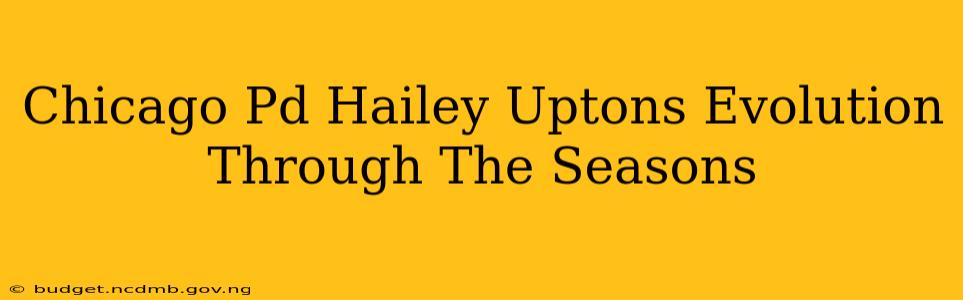 Chicago Pd Hailey Uptons Evolution Through The Seasons