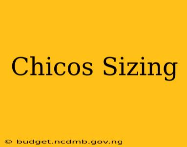 Chicos Sizing