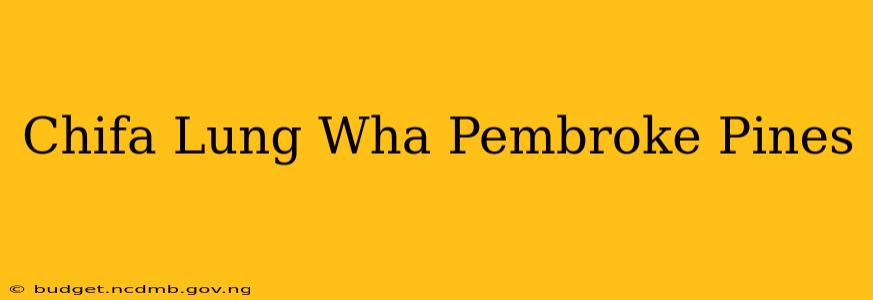 Chifa Lung Wha Pembroke Pines