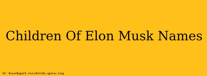 Children Of Elon Musk Names