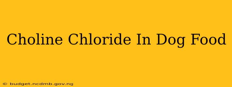 Choline Chloride In Dog Food