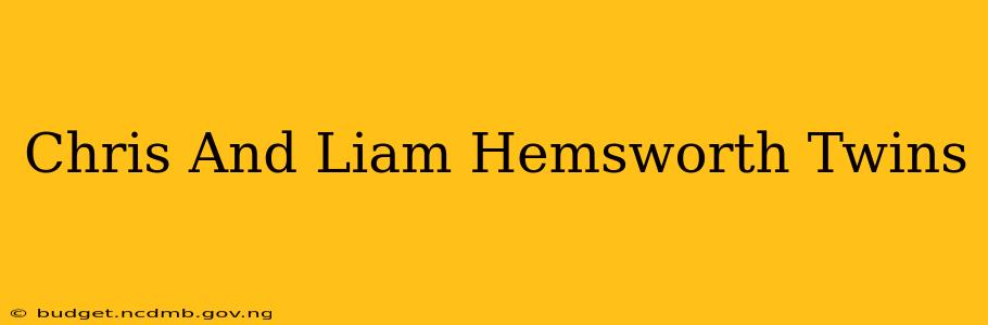 Chris And Liam Hemsworth Twins