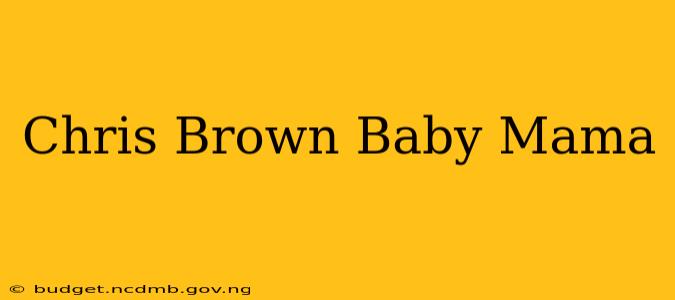 Chris Brown Baby Mama