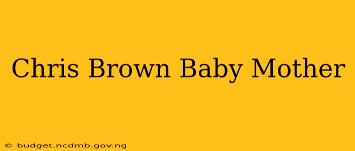 Chris Brown Baby Mother