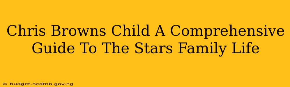 Chris Browns Child A Comprehensive Guide To The Stars Family Life