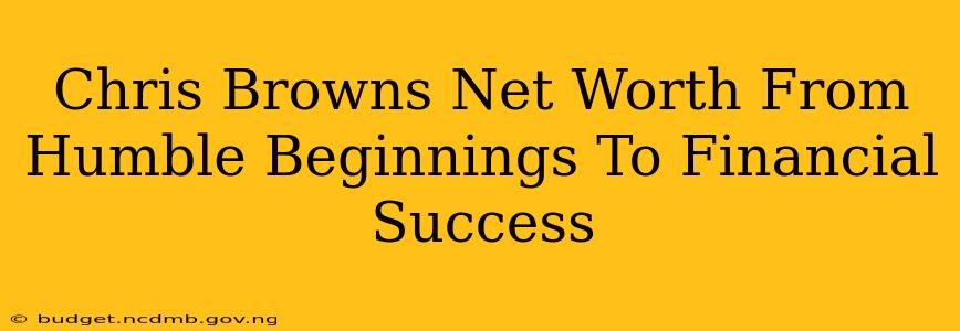 Chris Browns Net Worth From Humble Beginnings To Financial Success