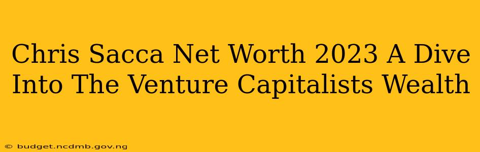 Chris Sacca Net Worth 2023 A Dive Into The Venture Capitalists Wealth