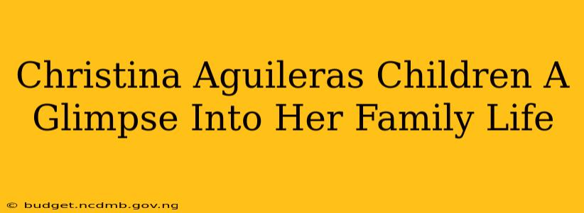 Christina Aguileras Children A Glimpse Into Her Family Life