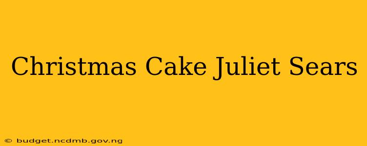 Christmas Cake Juliet Sears