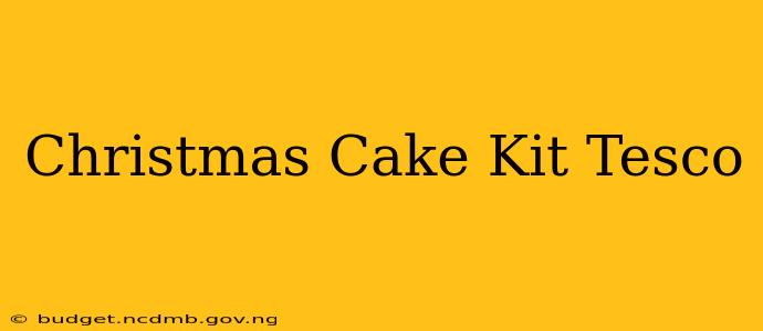 Christmas Cake Kit Tesco