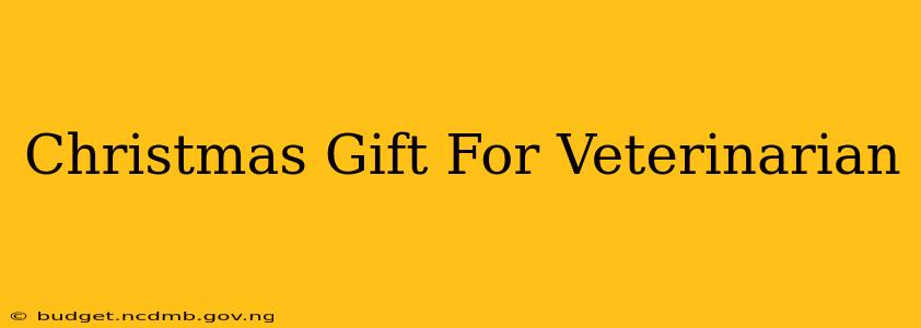 Christmas Gift For Veterinarian