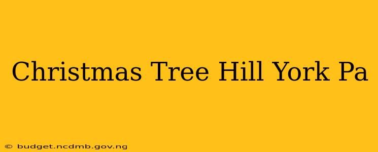 Christmas Tree Hill York Pa