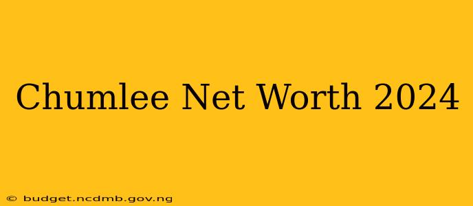 Chumlee Net Worth 2024
