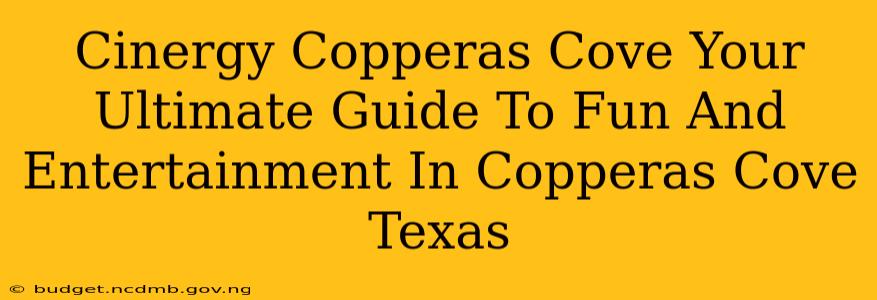 Cinergy Copperas Cove Your Ultimate Guide To Fun And Entertainment In Copperas Cove Texas