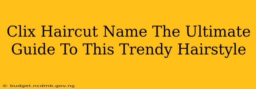 Clix Haircut Name The Ultimate Guide To This Trendy Hairstyle