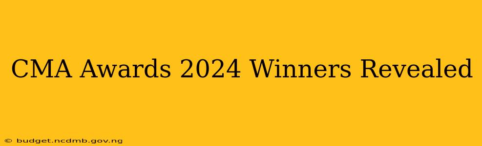 CMA Awards 2024 Winners Revealed