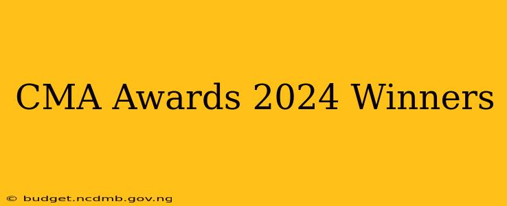CMA Awards 2024 Winners