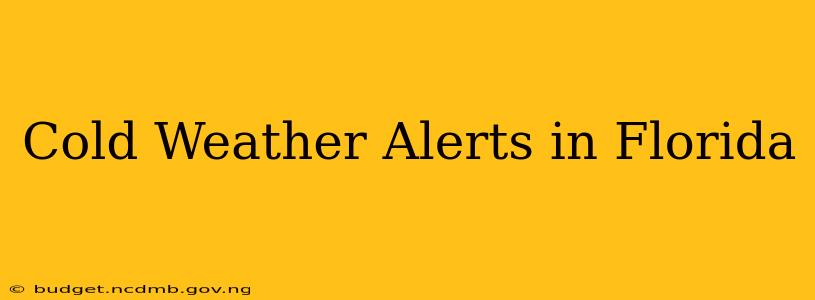 Cold Weather Alerts in Florida