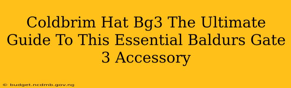 Coldbrim Hat Bg3 The Ultimate Guide To This Essential Baldurs Gate 3 Accessory