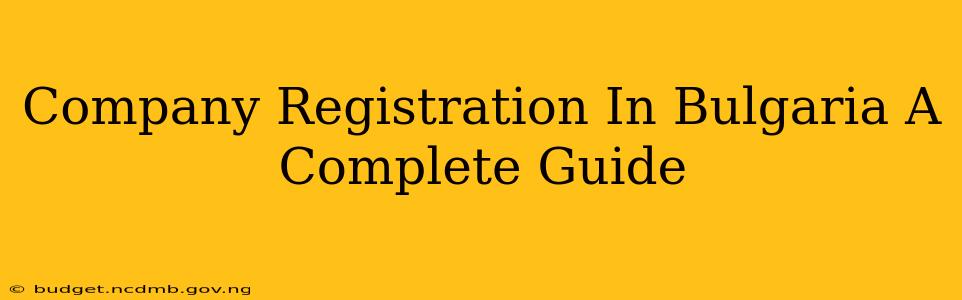 Company Registration In Bulgaria A Complete Guide