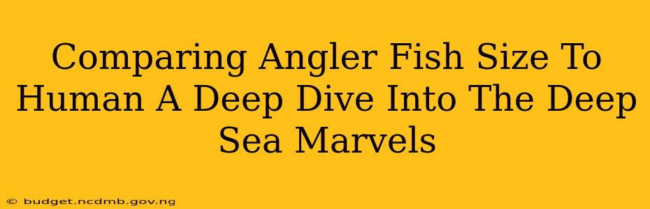 Comparing Angler Fish Size To Human A Deep Dive Into The Deep Sea Marvels
