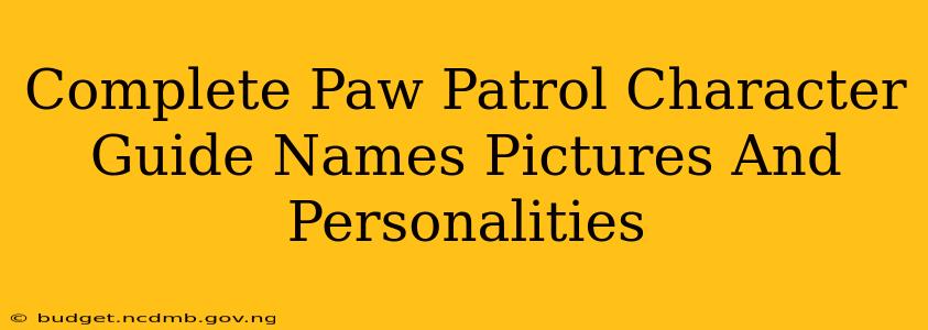 Complete Paw Patrol Character Guide Names Pictures And Personalities