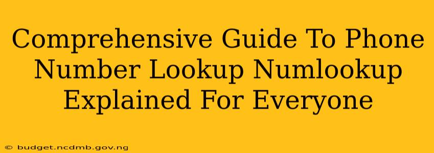 Comprehensive Guide To Phone Number Lookup Numlookup Explained For Everyone
