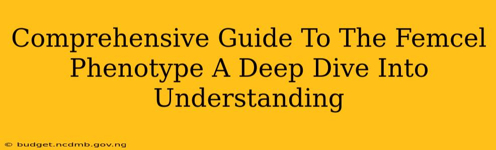 Comprehensive Guide To The Femcel Phenotype A Deep Dive Into Understanding