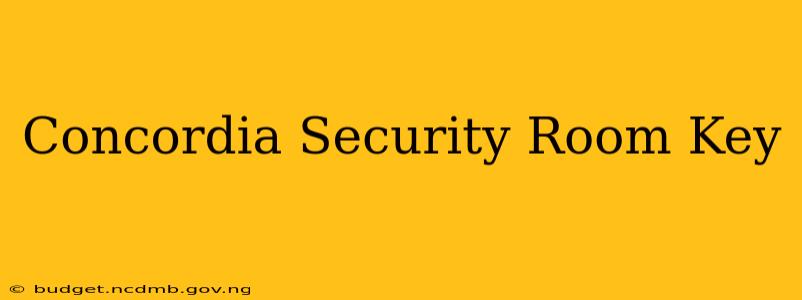 Concordia Security Room Key