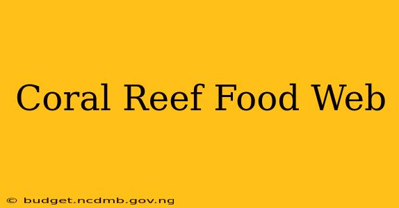Coral Reef Food Web
